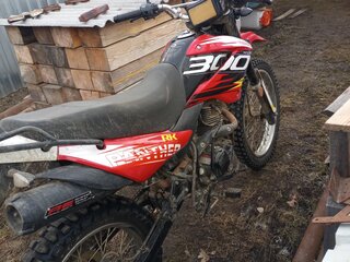2023 Racer Panther, красный, 125000 рублей, вид 4
