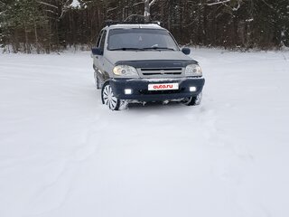 2004 Chevrolet Niva I, серый, 225000 рублей, вид 1