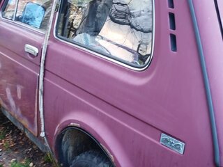 1996 Lada (ВАЗ) 2121 (4x4) I Рестайлинг, красный, 120000 рублей, вид 5
