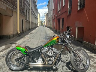 2011 Harley-Davidson Softail Custom, зелёный, 900000 рублей, вид 1