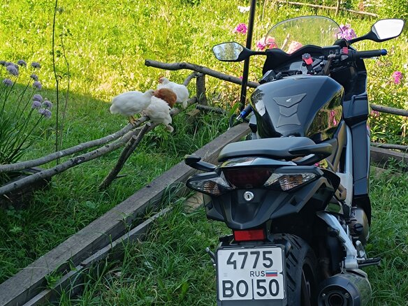 2014 Honda VFR 800, чёрный, 670000 рублей - вид 5