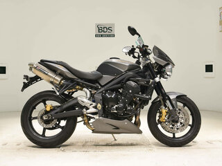 2009 Triumph Street Triple, серый, 520000 рублей, вид 1
