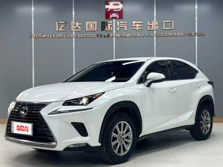 2021 Lexus NX 200 I Рестайлинг, белый, 2600000 рублей, вид 1