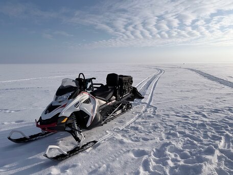 2015 BRP Lynx 49 Ranger 600, белый, 1200000 рублей, вид 1