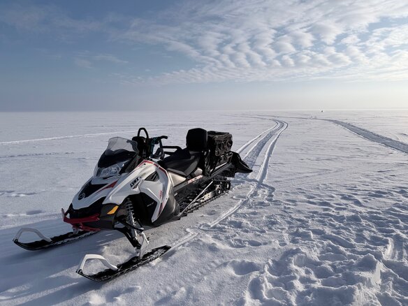 2015 BRP Lynx 49 Ranger 600, белый, 1150000 рублей