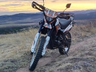 2020 Racer Panther, оранжевый, 105000 рублей, вид 3