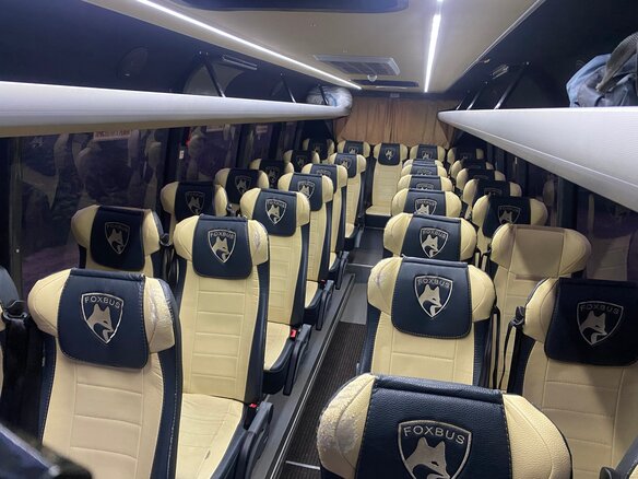 2019 Foxbus 62412, белый, 6888888 рублей - вид 9