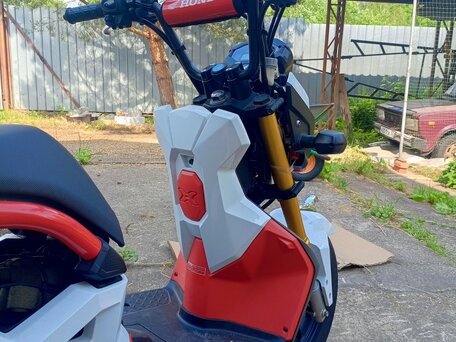 2019 Honda Zoomer, красный, 300000 рублей, вид 5