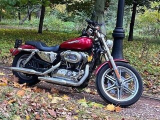 2009 Harley-Davidson Sportster 1200, красный, 650000 рублей, вид 1