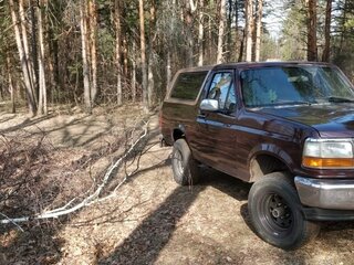 1995 Ford Bronco V, пурпурный, 1000000 рублей, вид 2