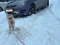 2007 Ford Fiesta Mk5, фиолетовый, 199000 рублей - вид 1