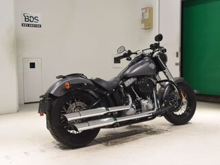 2014 Harley-Davidson Softail Slim, серый, 669000 рублей, вид 5