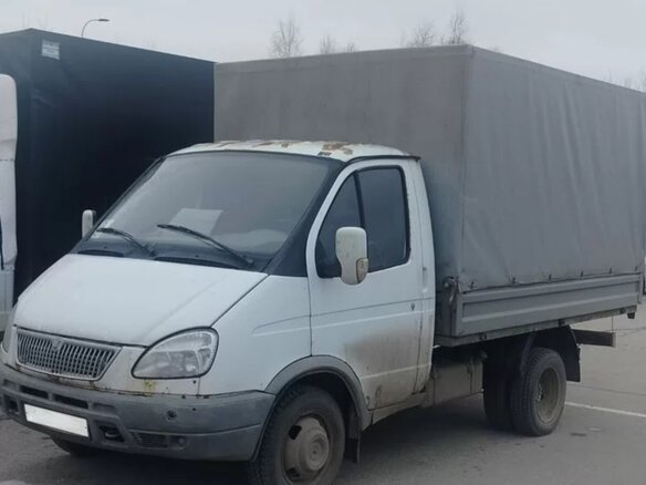 2006 ГАЗ ГАЗель (3302), белый - вид 2