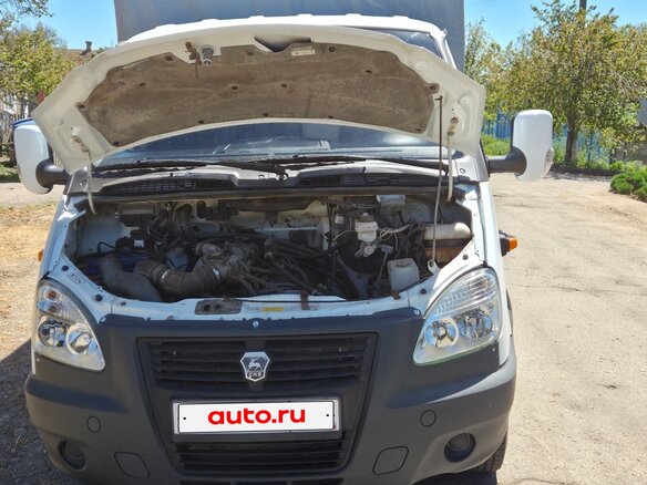 2010 ГАЗ ГАЗель (3302), белый, 950000 рублей - вид 15