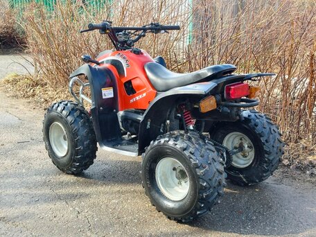 2015 Stels ATV-50, красный, 55000 рублей, вид 3