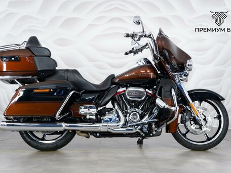 2018 Harley-Davidson CVO, коричневый, 2649000 рублей, вид 1