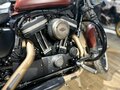 2017 Harley-Davidson Sportster 883, коричневый, 1450000 рублей - вид 8