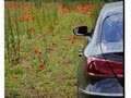 2012 Volkswagen Passat CC I Рестайлинг, коричневый, 1500000 рублей - вид 3