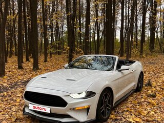 2017 Ford Mustang VI Рестайлинг, белый, 2600000 рублей, вид 1