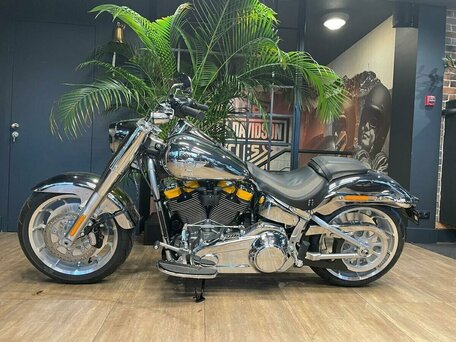 2025 Harley-Davidson Fat Boy, серебристый, 6000000 рублей, вид 2