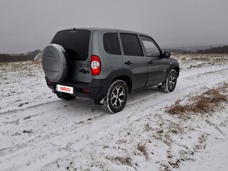 2011 Chevrolet Niva I Рестайлинг, серый, 485000 рублей, вид 2