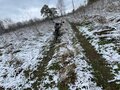 2024 Мотоальфа A1, красный, 50000 рублей - вид 6
