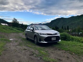 2019 Toyota Corolla Fielder XI (E160, E170) Рестайлинг 2, серебристый, 1450000 рублей, вид 2