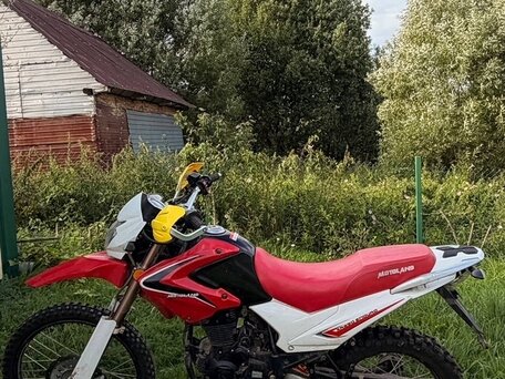 2014 Motoland TD, красный, 87000 рублей, вид 4