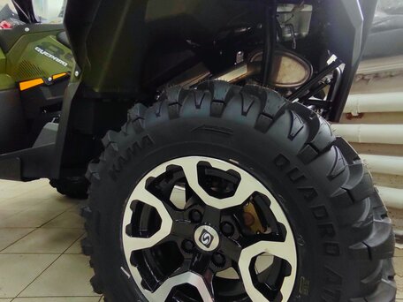 2026 Stels ATV-850 Guepard Trophy, зелёный, 1200000 рублей, вид 4