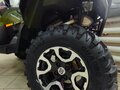 2026 Stels ATV-850 Guepard Trophy, зелёный - вид 3