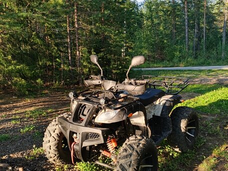 2025 Yamaha Grizzly 250, коричневый, 185000 рублей, вид 2
