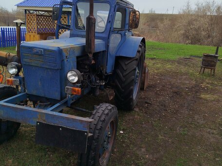 1993 ЛТЗ Т-40АМ, синий, 350000 рублей, вид 4
