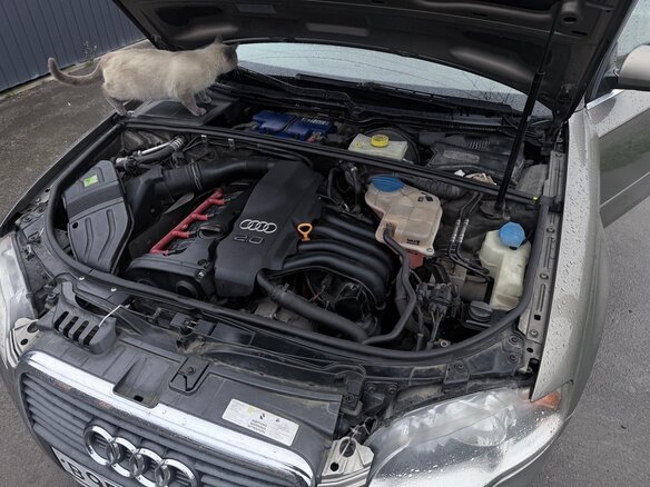 2005 Audi A4 III (B7), бежевый, 660000 рублей - вид 13