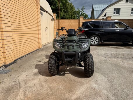 2011 Arctic Cat 300 Series, зелёный, 530000 рублей, вид 3