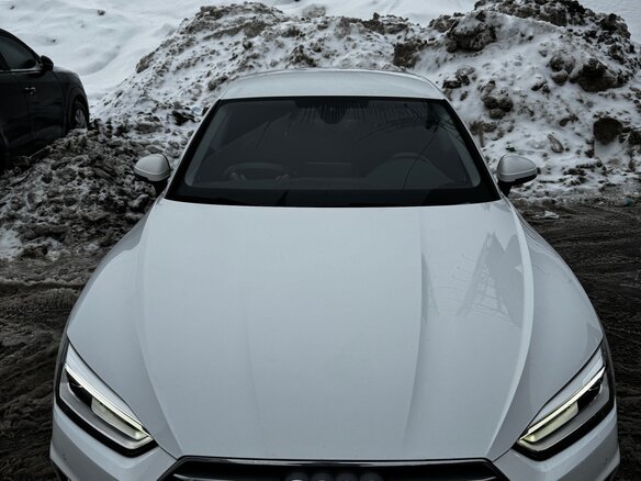2019 Audi A5 II (F5), белый - вид 4
