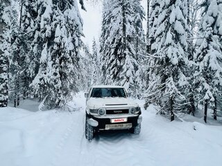 2014 Toyota FJ Cruiser, белый, 3990000 рублей, вид 2