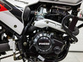 2024 Fuego Rambolor 250, красный, 159900 рублей - вид 7