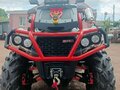 2024 AODES (Odes) Pathcross 1000 Mud Pro, коричневый, 1300000 рублей - вид 6