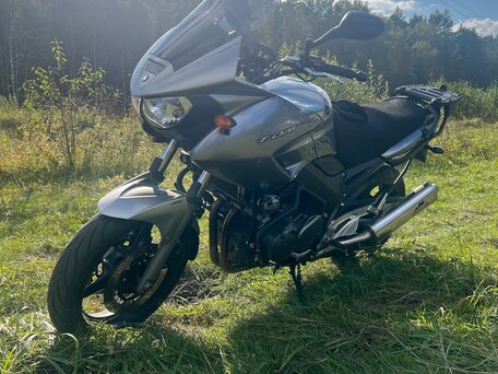 2005 Yamaha TDM900, серебристый, 480000 рублей, вид 2