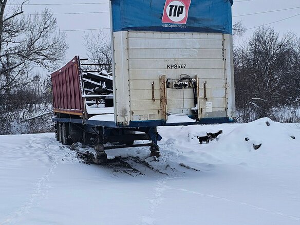1998 Schmitz Cargobull S01, синий, 500000 рублей