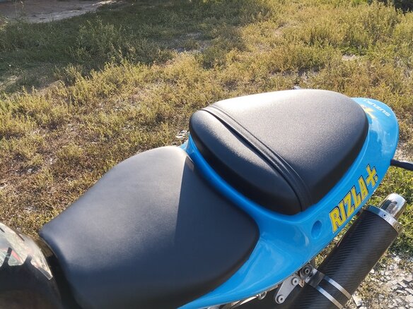 2001 Suzuki TL 1000, синий, 230000 рублей - вид 15
