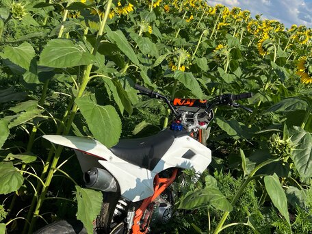 2022 Kayo Basic TT125, белый, 44000 рублей, вид 1