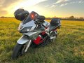 2005 Honda CBR 600F, серебристый, 520000 рублей - вид 6
