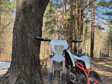 2025 Motoland ATV 125S, белый, 60000 рублей, вид 1