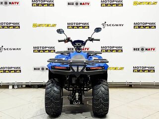 2026 Irbis ATV 200U, синий, 251000 рублей, вид 4