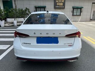 2023 Skoda Octavia IV (A8), белый, 1650000 рублей, вид 5