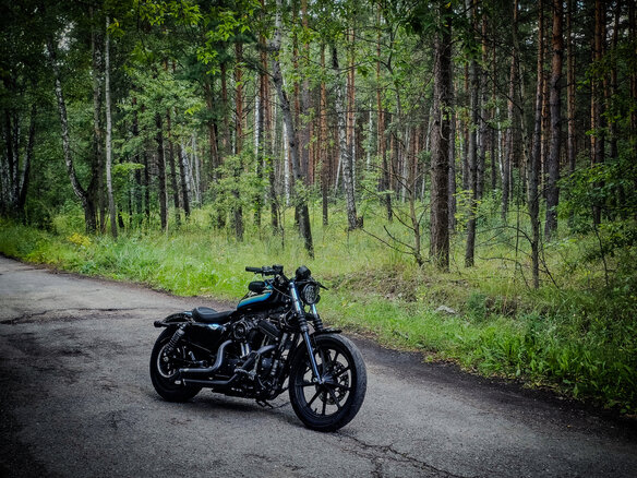 2019 Harley-Davidson Sportster 1200, чёрный, 800000 рублей - вид 2