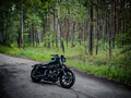 2019 Harley-Davidson Sportster 1200, чёрный, 800000 рублей - вид 2