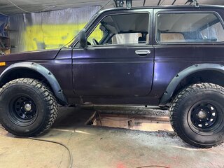 2010 Lada (ВАЗ) 2121 (4x4) I Рестайлинг, коричневый, 350000 рублей, вид 5