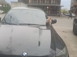 2009 BMW X6 30d I (E71), чёрный, 1750000 рублей, вид 2